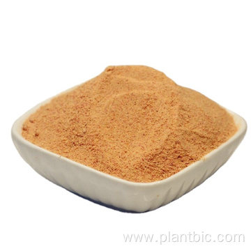 2021 hot sale: 100% organic Chia Seed Extract Powder 100:1